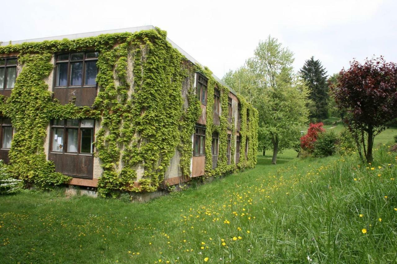 Talblick Appartement In Traumhafter Lage! Ober-Hambach Экстерьер фото